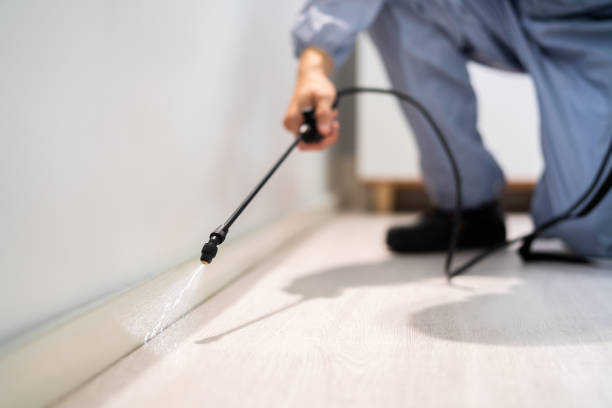 Licensed Fumigation Services service in Greenville, VA - Nex Pest Control