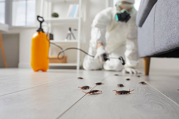 Trusted Rodent Control service in Greenville, VA - Nex Pest Control