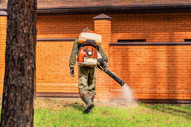 Trusted Ant Control service in Greenville, VA - Nex Pest Control